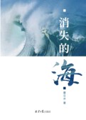 消失的海