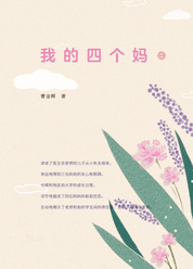 我的四个妈2
