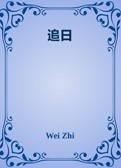 追日
