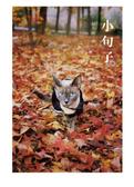 小句子