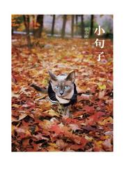 小句子