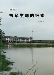 藕莲香文集——拽紧生命的纤索