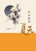 白木槿的夏天
