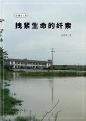 莲藕香文集——拽紧生命的纤索