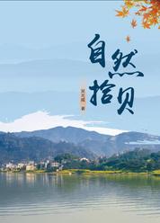 深空之脸