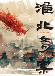 淮北奇案
