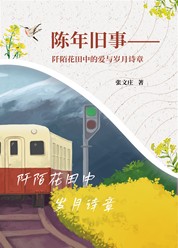 陈年旧事——阡陌花田中的爱与岁月诗章