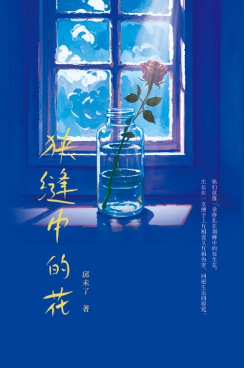 狭缝中的花