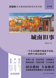 部编版语文教材配套阅读名著书系：城南旧事