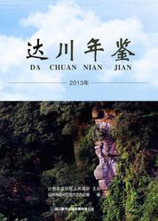 《达川年鉴—2013》