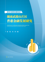 宏观与微观双重视角下湖南武陵山片区普惠金融发展研究