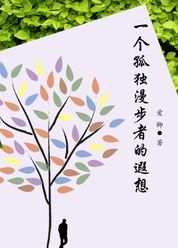 一个孤独漫步者的遐思