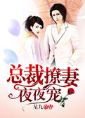 总裁撩妻，夜夜宠