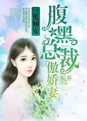 一见倾安，腹黑总裁傲娇妻
