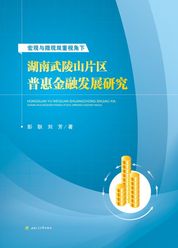 宏观与微观双重视角下湖南武陵山片区普惠金融发展研究