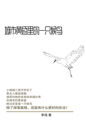 城市黄昏里的一只候鸟