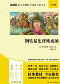 部编版语文教材配套阅读名著书系：钢铁是怎样炼成的