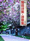 爱卿诗集第三集 游思集