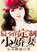 辰少的定制小娇妻