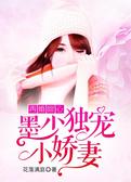 再婚甜心，墨少独宠小娇妻