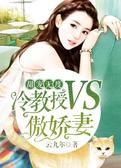甜宠无度：冷教授VS傲娇妻