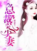 总裁心尖妻