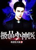 极品小神医