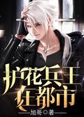 护花兵王在都市