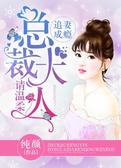 追妻成瘾，总裁大人请温柔