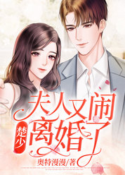 楚少，夫人又闹离婚了