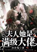 夫人她是满级大佬