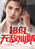 超级无敌仙婿