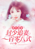 重生溺宠：封少追妻一百零八式