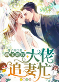 萌宝助攻：大佬追妻忙