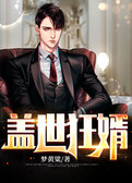 盖世狂婿