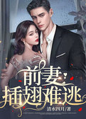 前妻插翅难逃