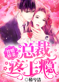 替婚娇妻：总裁疼上瘾