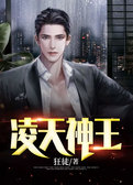 凌天神王