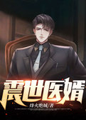 震世医婿