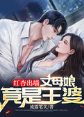 红杏出墙，丈母娘竟是王婆