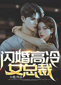闪婚高冷女总裁